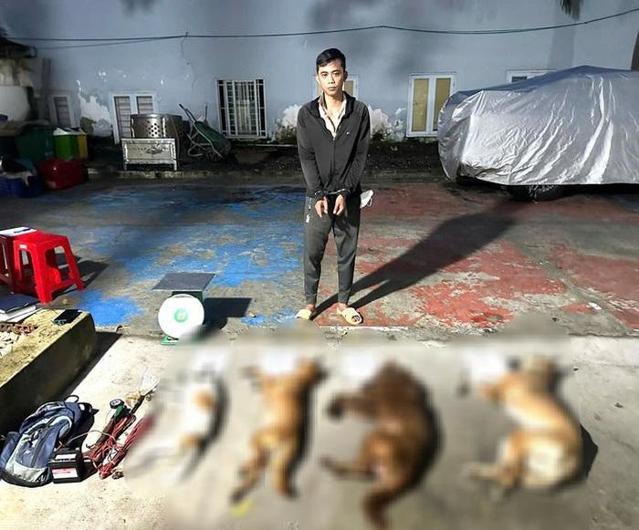 Nguyễn Sinh Cơ