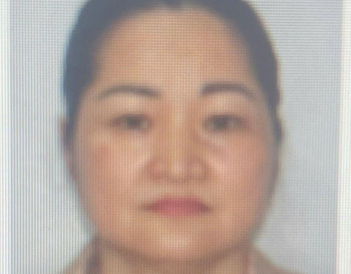 "Trùm" cho vay nặng lãi Phạm Thị Bích Phượng. (Ảnh Công an cung cấp)