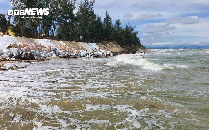 2 tháng gần đây, bờ biển Hội An thuộc phường Hội An Tây, TP Đà Nẵng, bị đặt trong tình trạng báo động khi sóng lớn liên tục công phá do ảnh hưởng của mưa bão. Trước tình hình bão số 13 (tên quốc tế Kalmaegi) dự kiến đổ bộ, người dân địa phương không khỏi nơm nớp lo sợ.